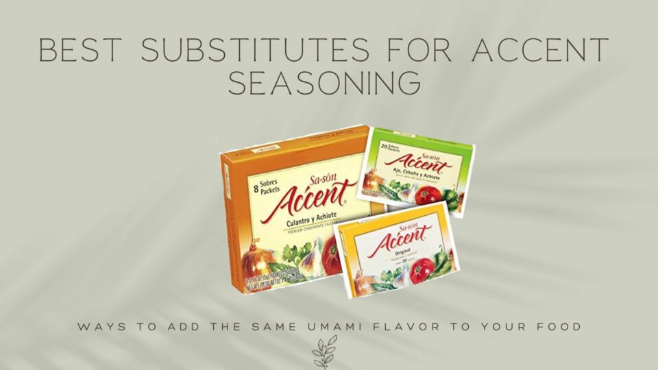 BEST SUBSTITUTES FOR ACCENT SEASONING