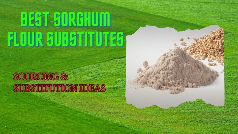 Sorghum Flour Substitutes - featured image