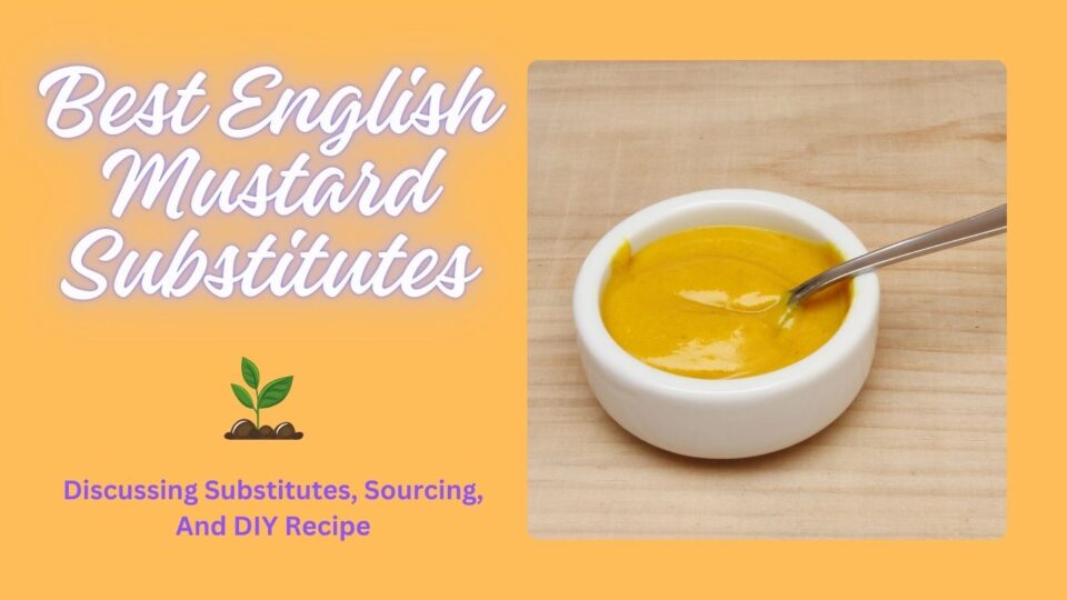 English Mustard Substitutes - top image