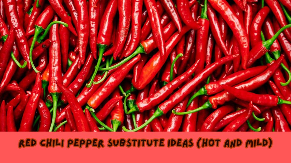 Red Chili Pepper Substitute Ideas - top image