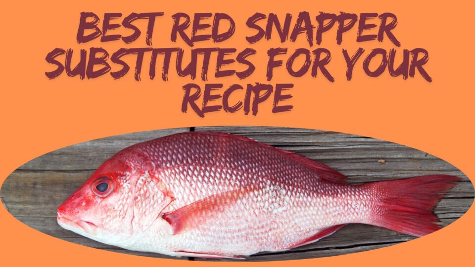 best Red Snapper Substitutes For Your Recipe - article top image