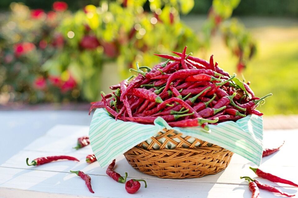 cayenne pepper in a basket