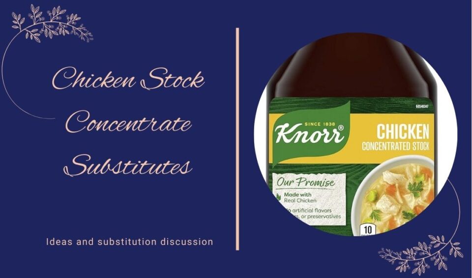 chicken stock concentrate substitute - top image