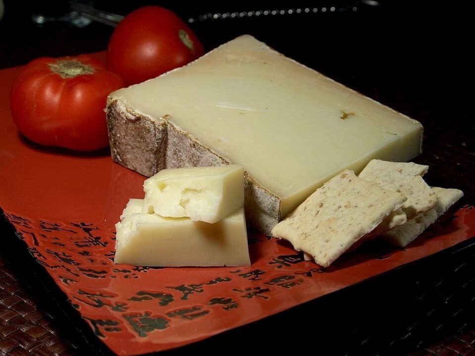 Fontina cheese