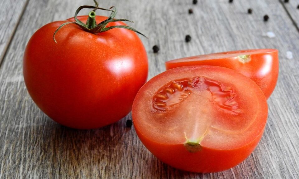 tomatoes