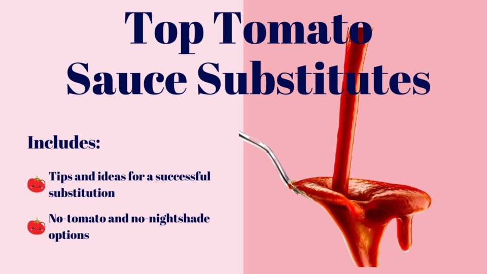 top tomato sauce substitutes - hero image