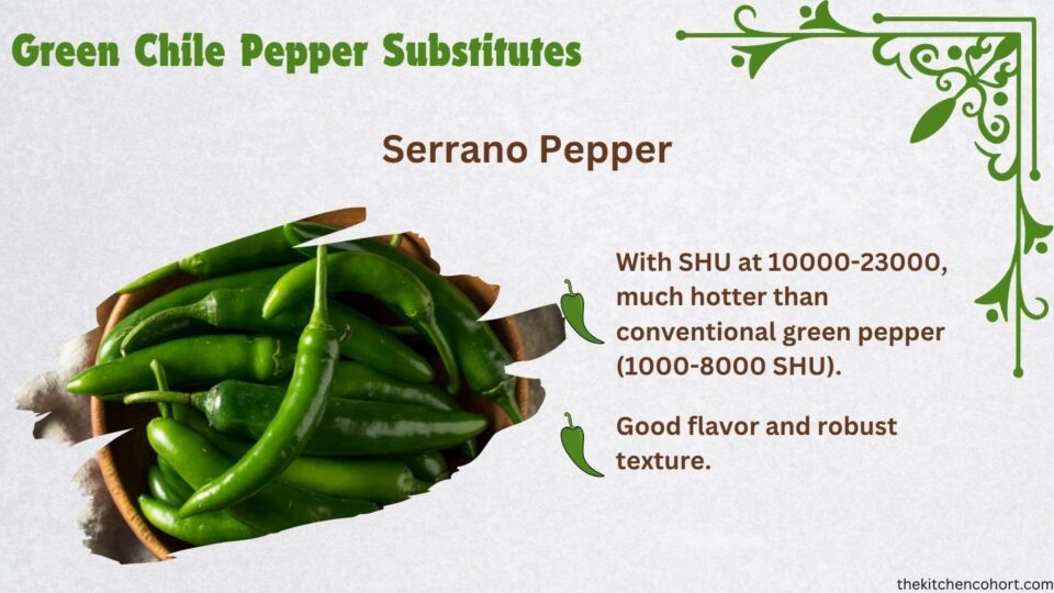 serrano pepper is a much hotter alternative to conventional green chili pepper