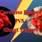 Carolina Repaer vs Ghost Pepper - featured image
