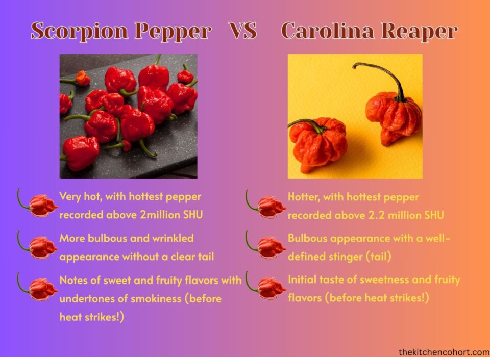 Scorpion pepper and Carolina reaper quick comparison